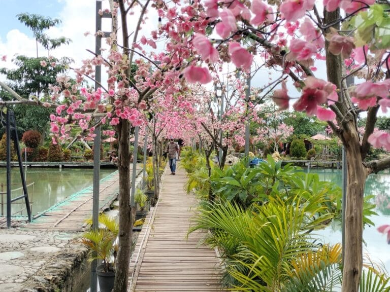 Wisata Somber Rajeh Rombiya Timur Mulai Hasilkan PADes Puluhan Juta, Pengunjung Dorong Ditingkatkan Lagi