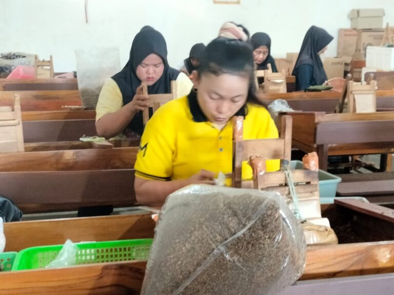 Makayasa, Rintis 2021 dengan Puluhan Pekerja, Mampu Produksi 50-60 Bal Tiap Hari