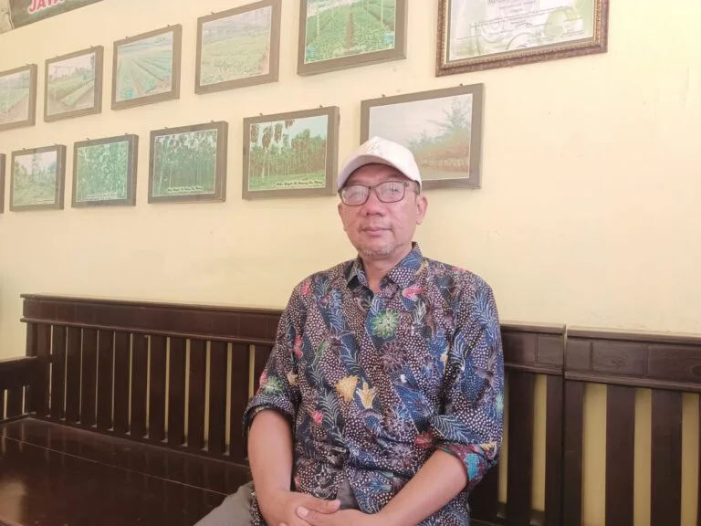Penanaman Mangrove di Pamekasan Diwarnai Salah Paham, CDK Sumenep Buka Suara